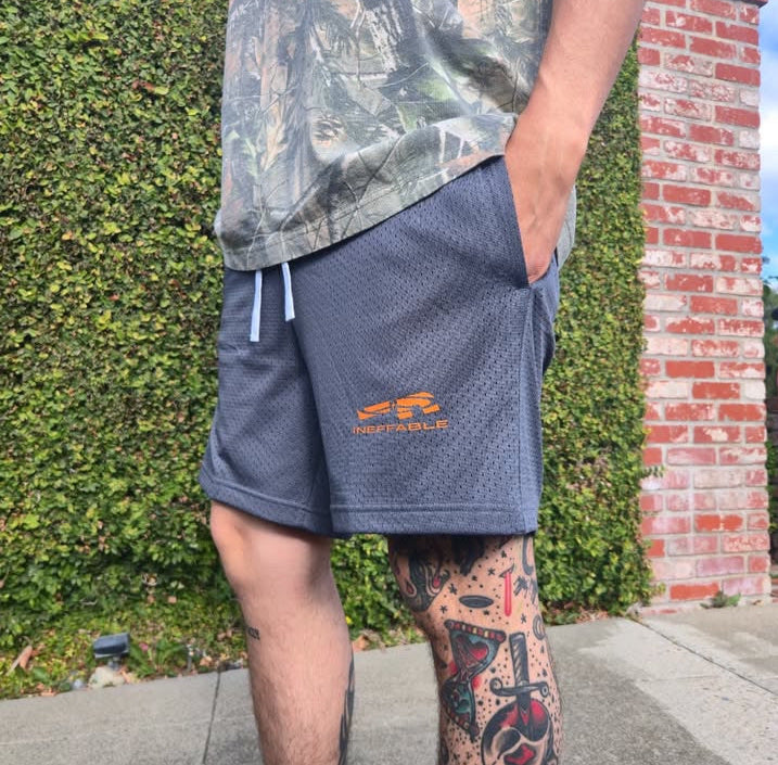 EVERYDAY MESH SHORTS [2 PACK]