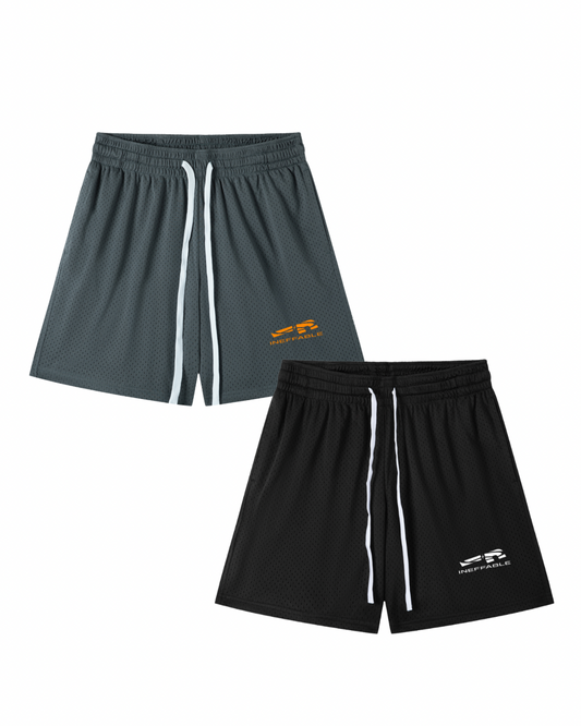 EVERYDAY MESH SHORTS [2 PACK]